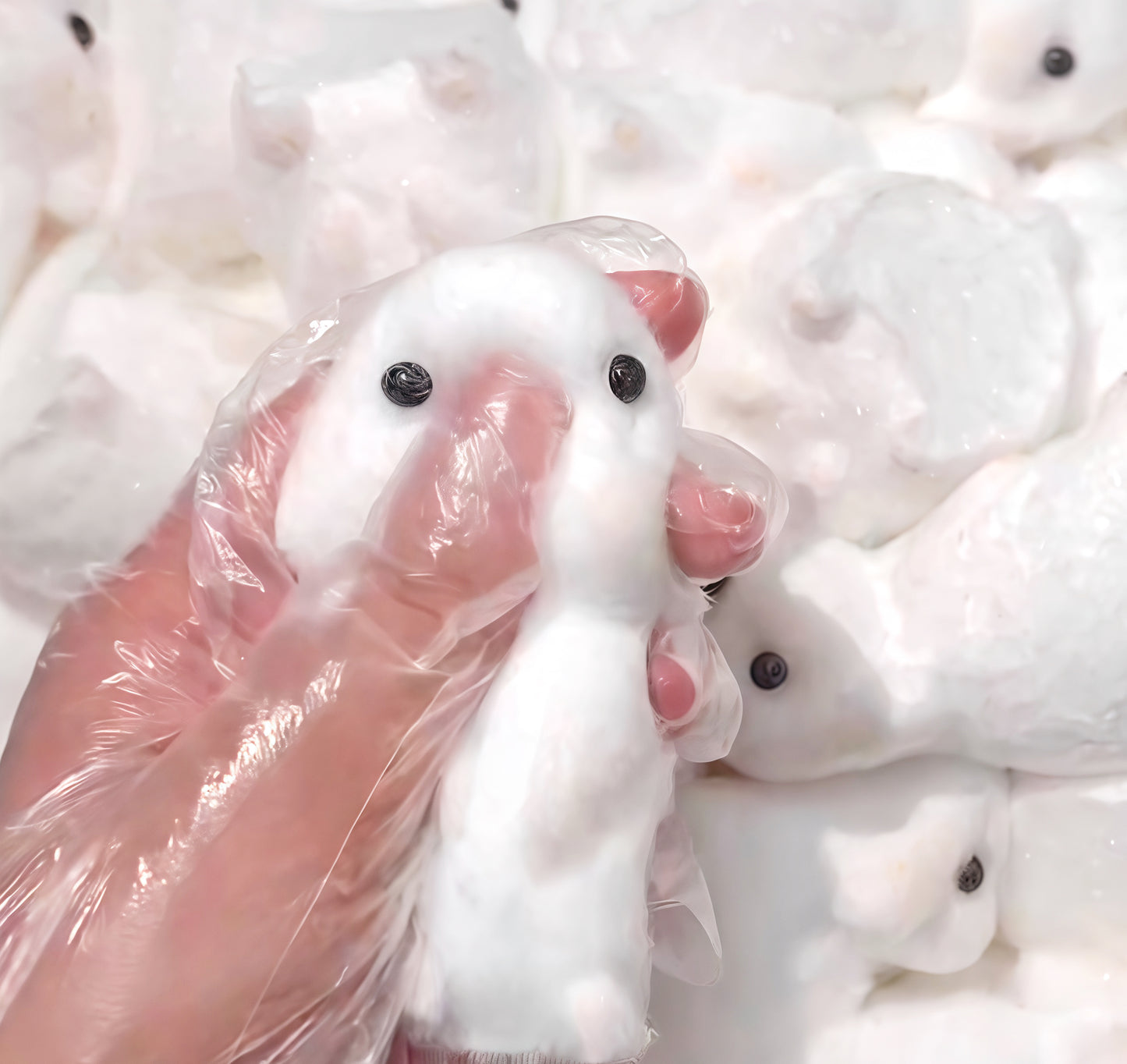 Bunny Handmade Taba Squishy - Ultra Soft Silicone Squishy